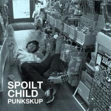 PUNKSKUP