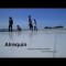 Alrequin