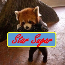 Star Sugar