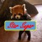 Star Sugar