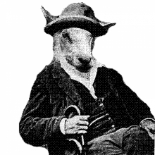 stroganov