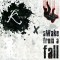 Awake From a Fall